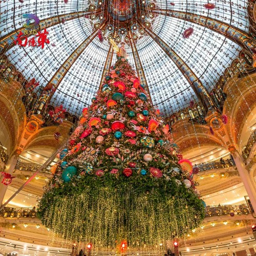 info-730-730 info-730-730